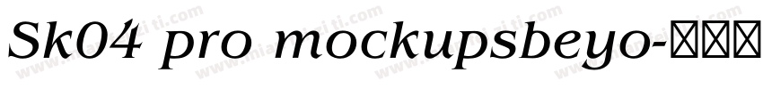 Sk04 pro mockupsbeyo字体转换